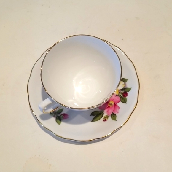 VINTAGE COLOLOUGH BONE CHINA TEA CUP AND SAUCE - Picture 8 of 8